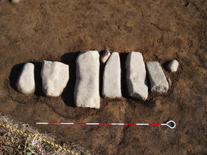 列状に配置された組石（2007年、南西から、72号組石）
