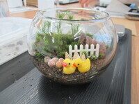 ひよこで装飾された苔テラリウム
