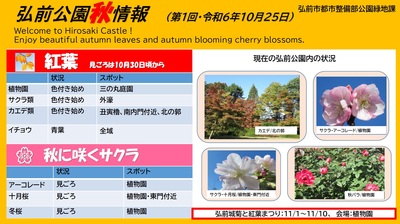 ＼弘前公園秋情報／（2024.10.25）