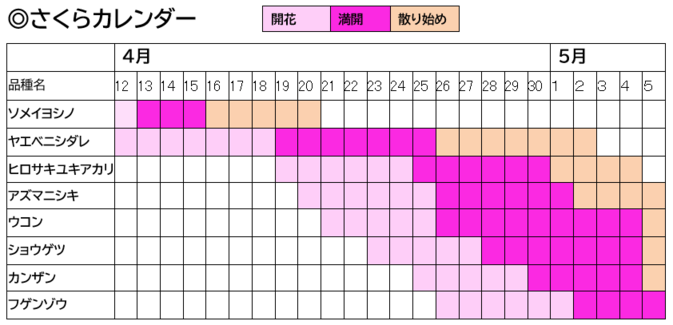R5sakura-calendar-No27