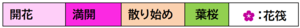 さくらカレンダー凡例