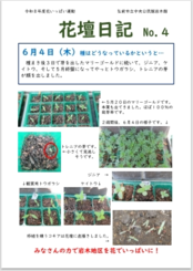 ８日記４