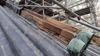 二の丸東門北西降棟の画像