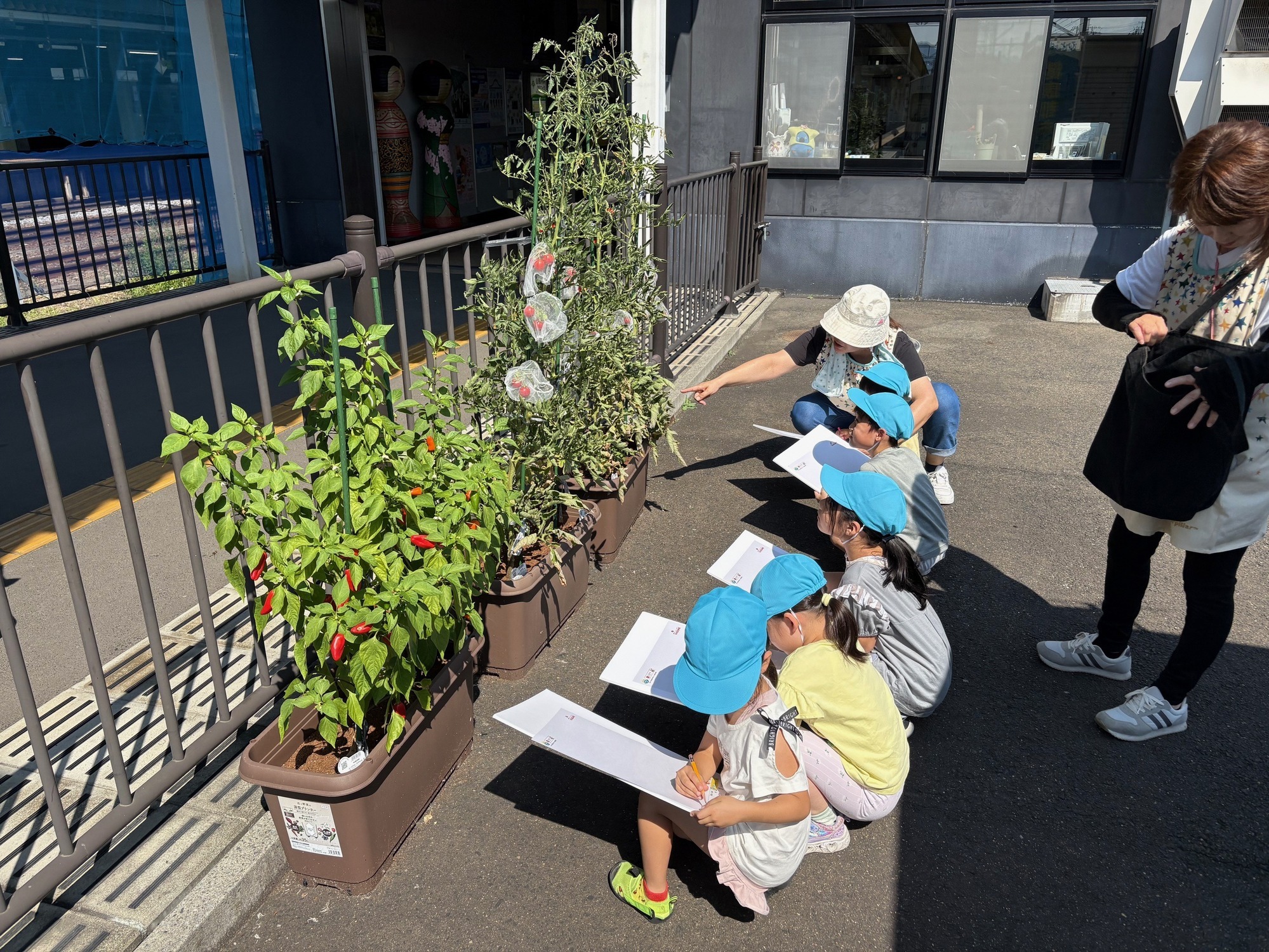 スケッチの様子